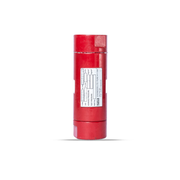 Flame Arrestor with NRV R9104 1/2″