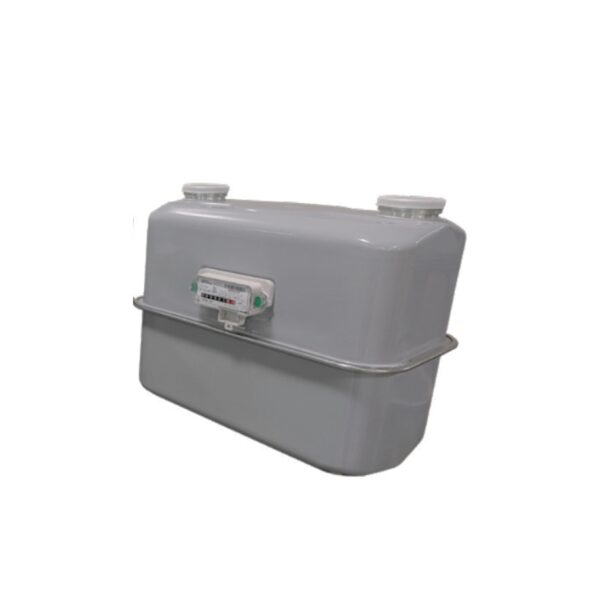 Gas Flow Meter G25
